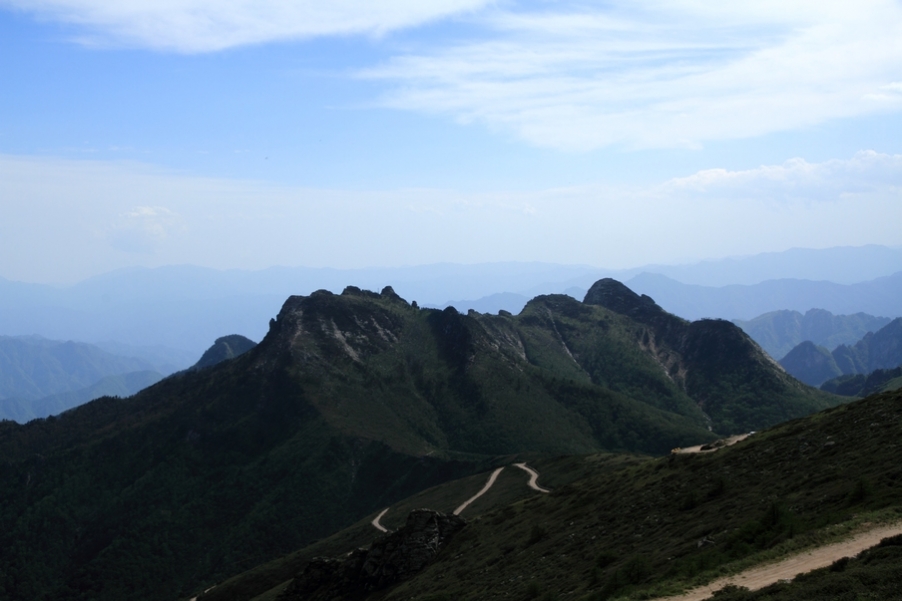 植物园108.jpg