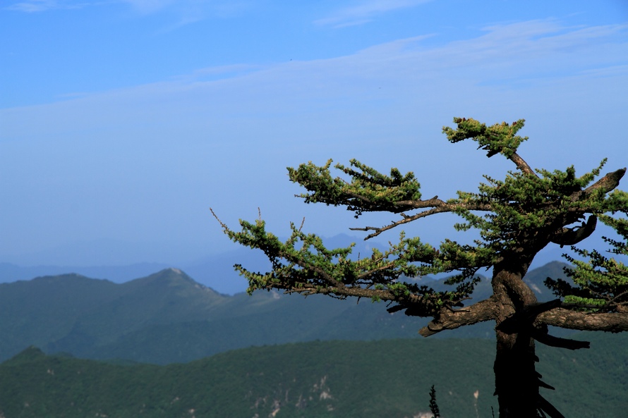 植物园94.jpg