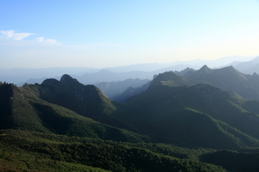 植物园98.jpg