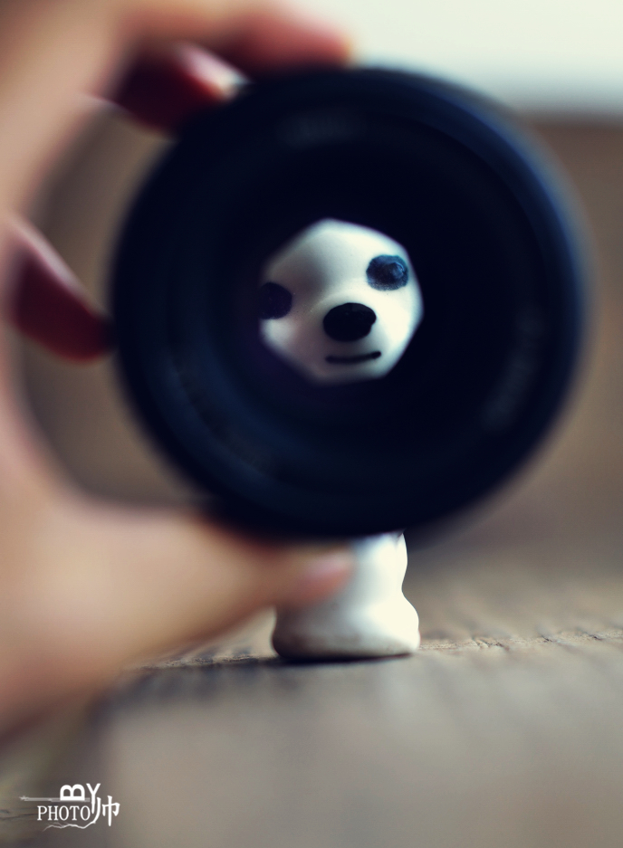 DSC_8627的.jpg