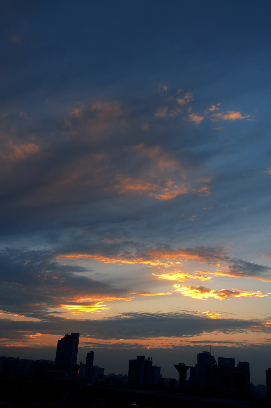 DSC_3610副.jpg