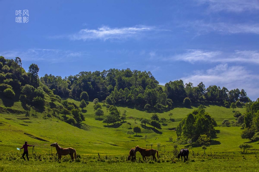 20130601_0790.jpg