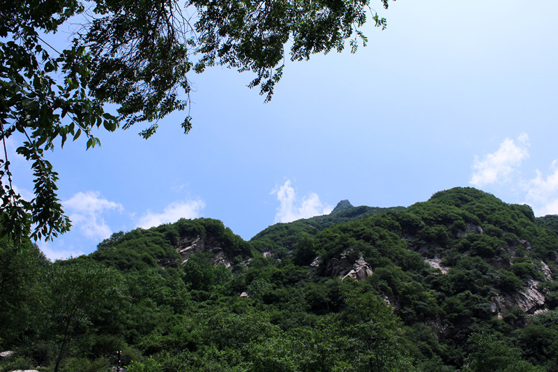IMG_1219_副本.jpg