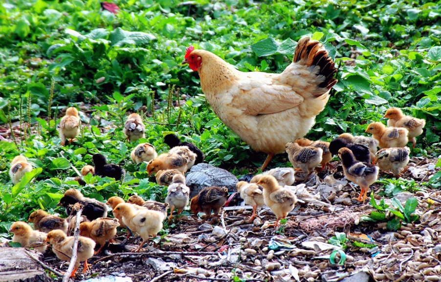 呵护 (3)_副本.jpg