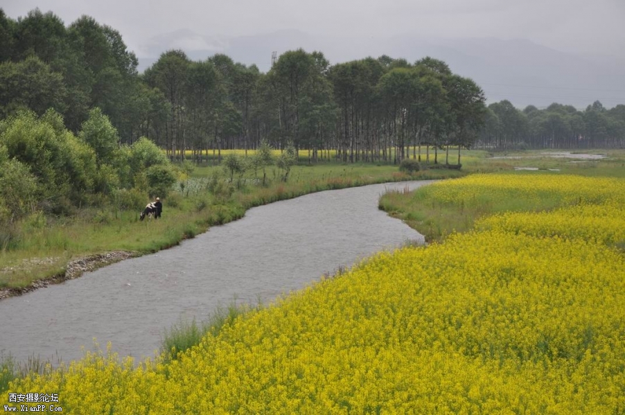 调整大小 DSC_0069.JPG