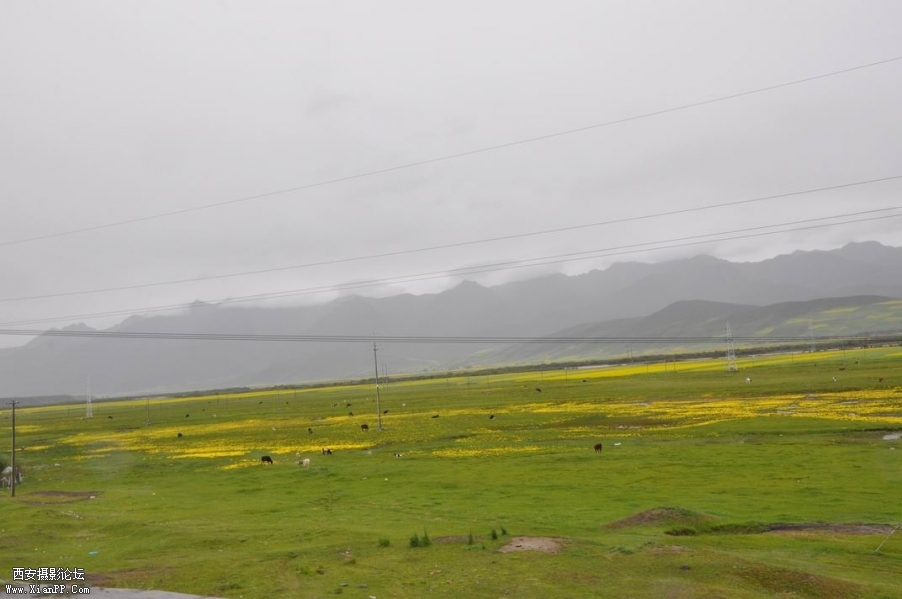 调整大小 DSC_0186.JPG