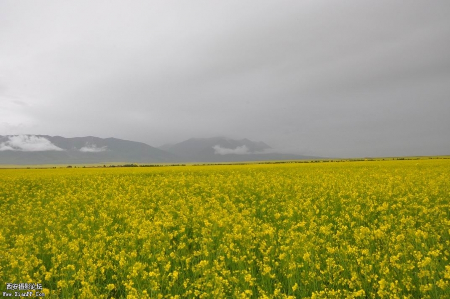 调整大小 DSC_0208.JPG