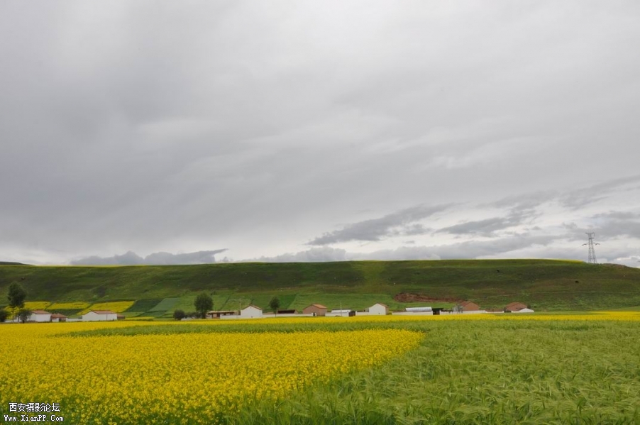 调整大小 DSC_0463.JPG