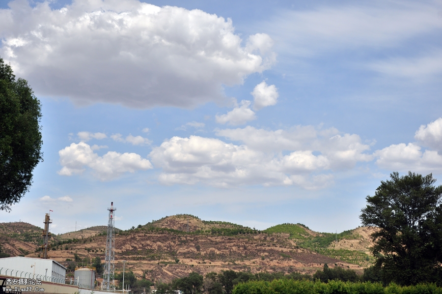 DSC_0044.JPG