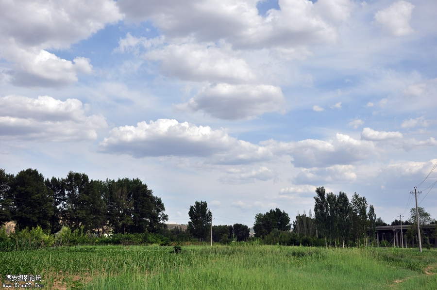 DSC_0046.JPG
