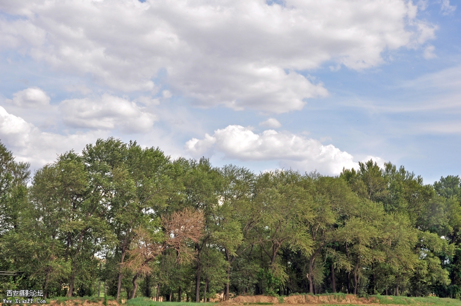 DSC_0077.JPG