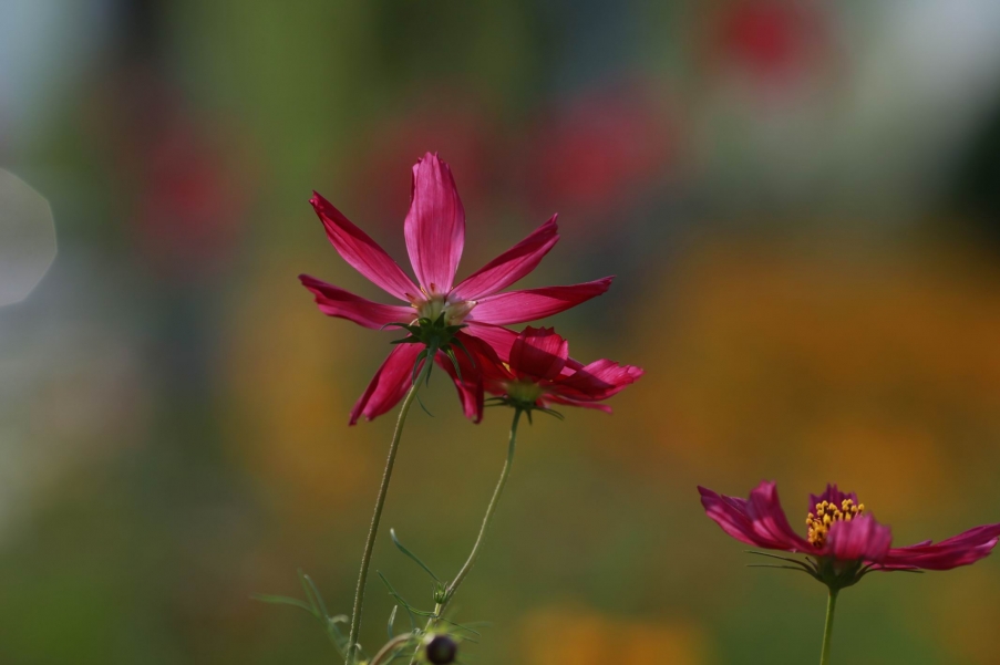 调整大小 IMG_8501.JPG