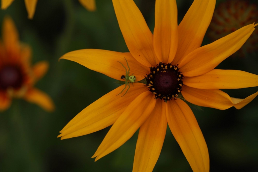 调整大小 IMG_8517.JPG