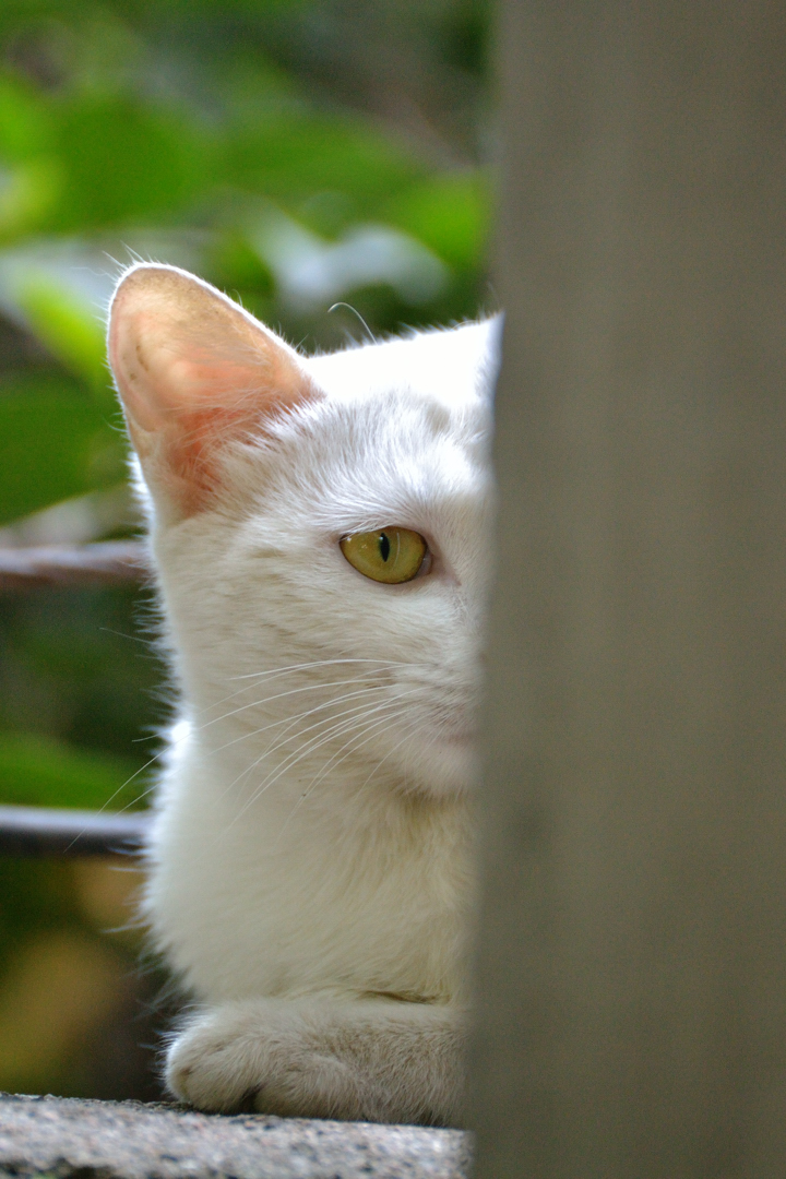 DSC_9711.jpg