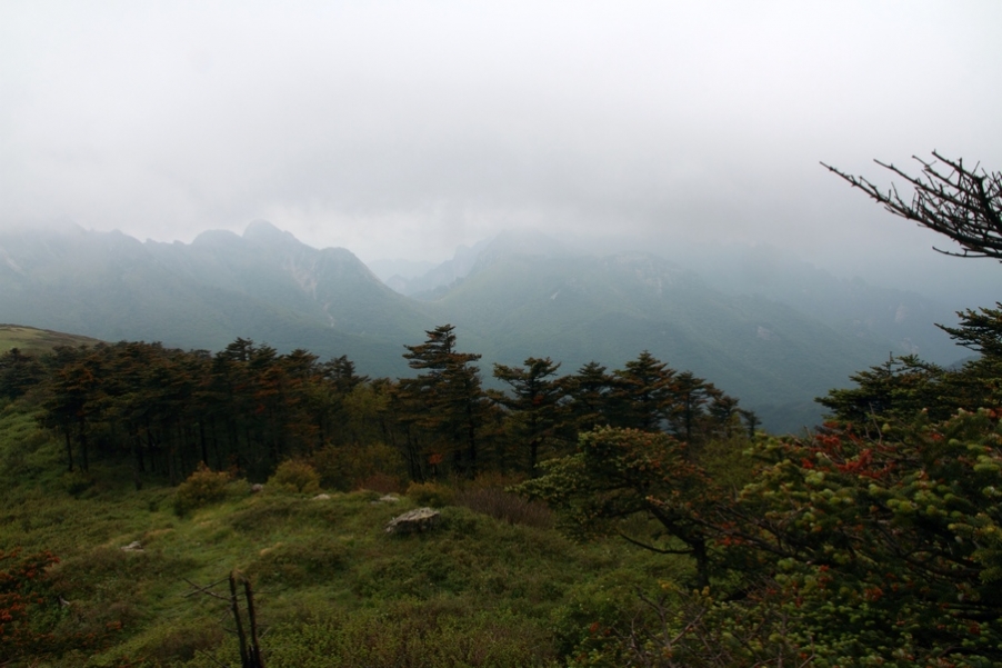 植物园2.jpg