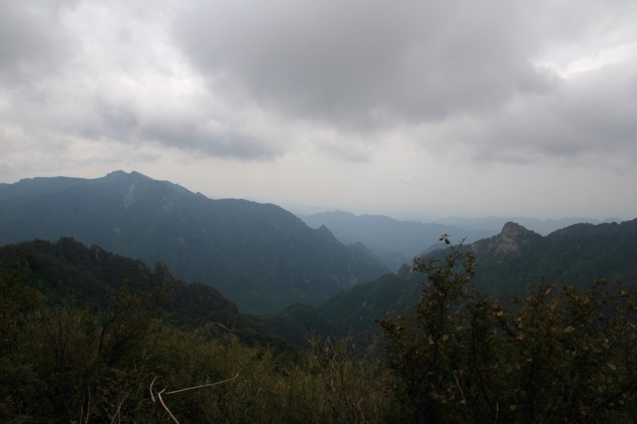 植物园138.jpg
