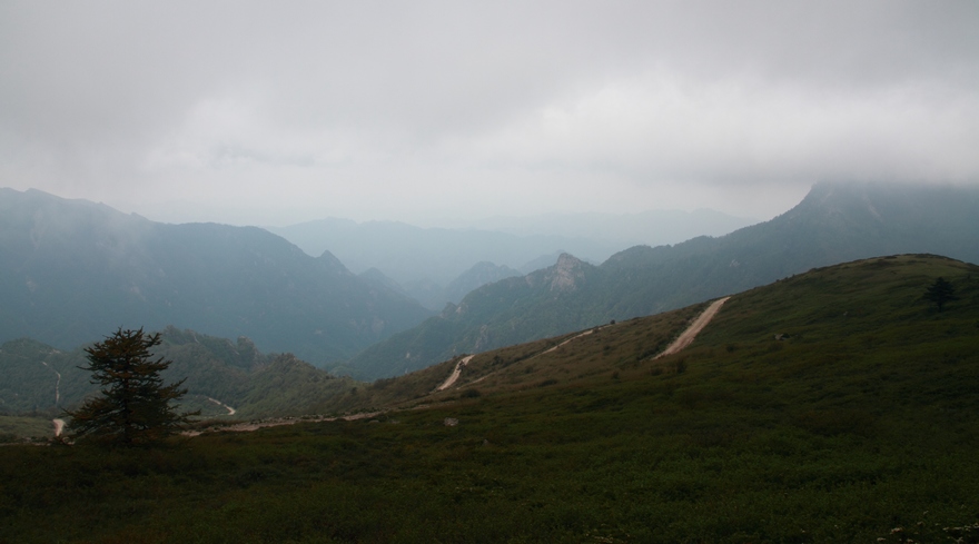 植物园145.jpg