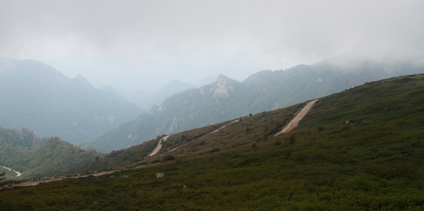 植物园148.jpg