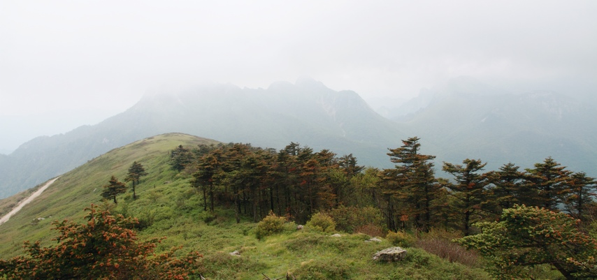 植物园127.jpg