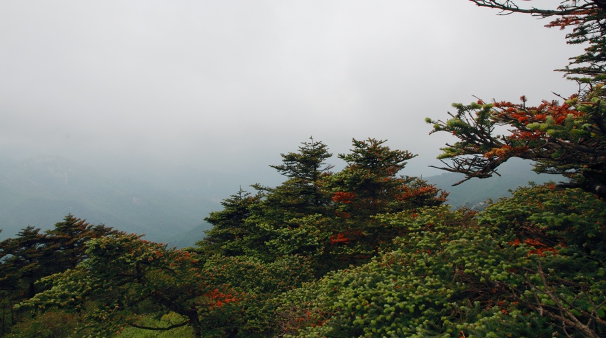 植物园129.jpg