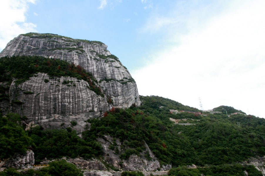 植物园166.jpg