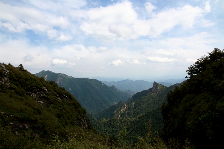 植物园171.jpg