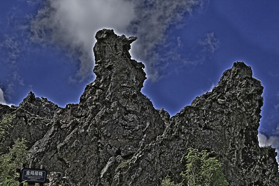 _Y9A0294.jpg