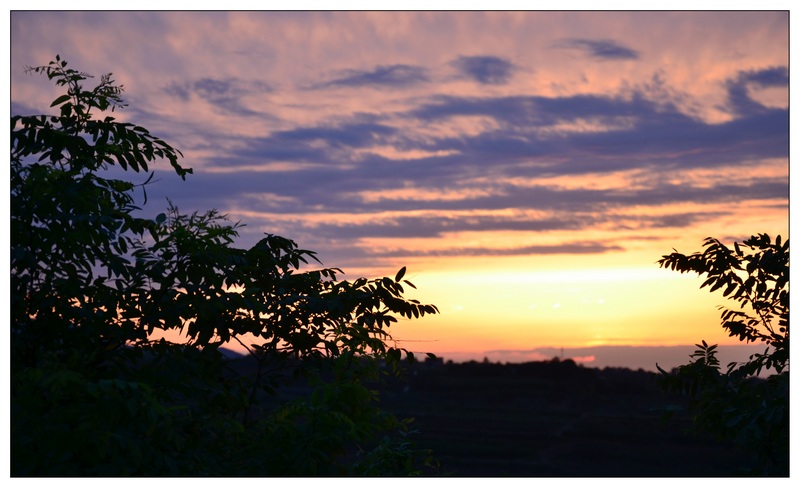 DSC_320.jpg