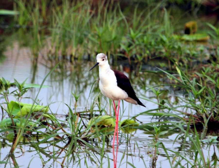 清水园 008_副本.jpg