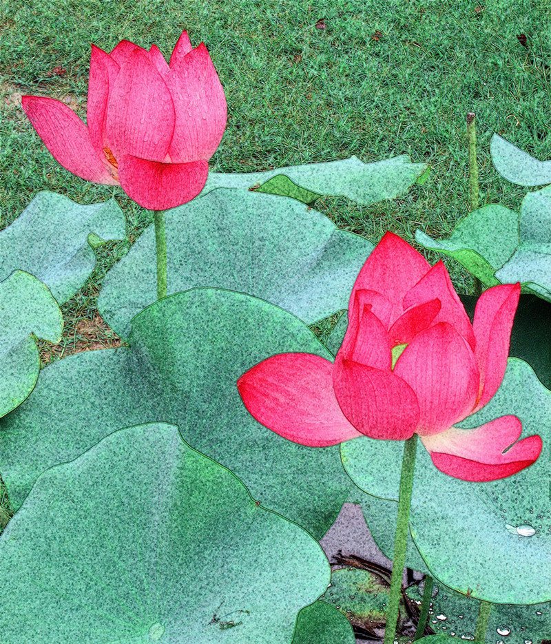 在雨中 (2)_副本_副本.jpg