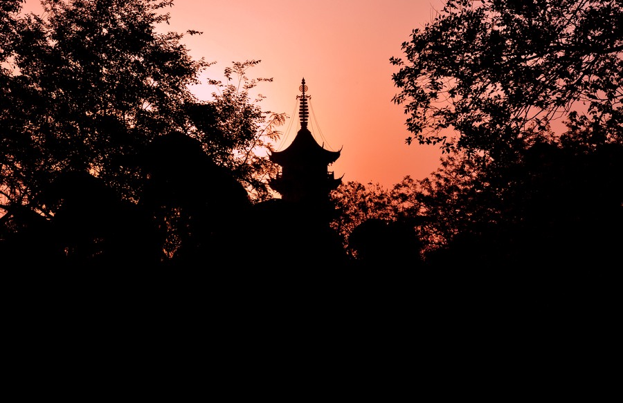 鸡鸣晨曦