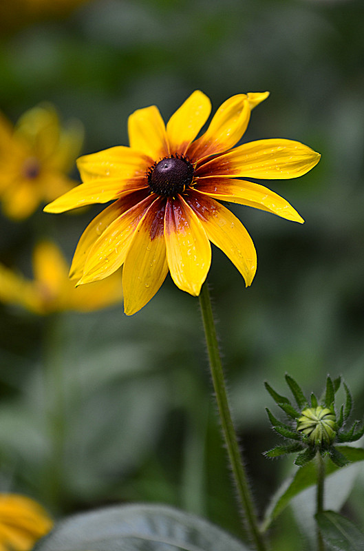 照片 033_副本.jpg