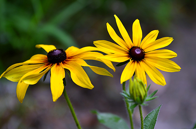 照片 056_副本.jpg