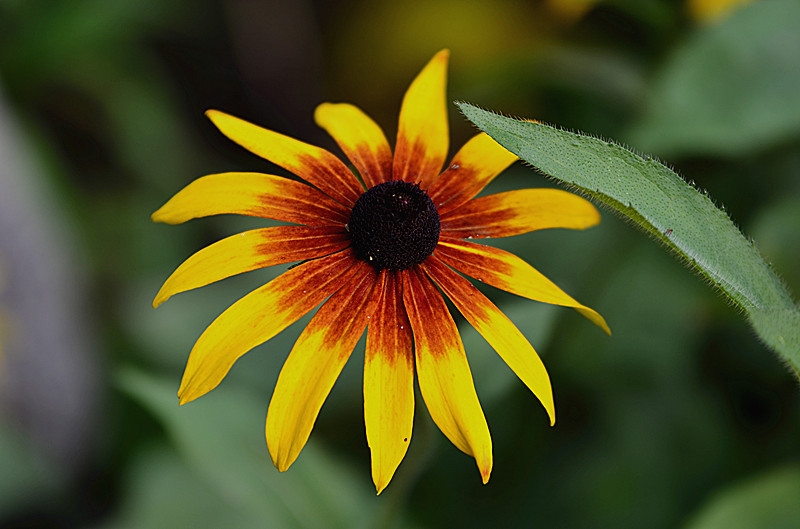 照片 067_副本.jpg