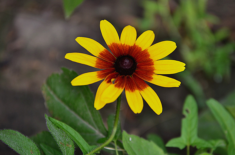 照片 071_副本.jpg