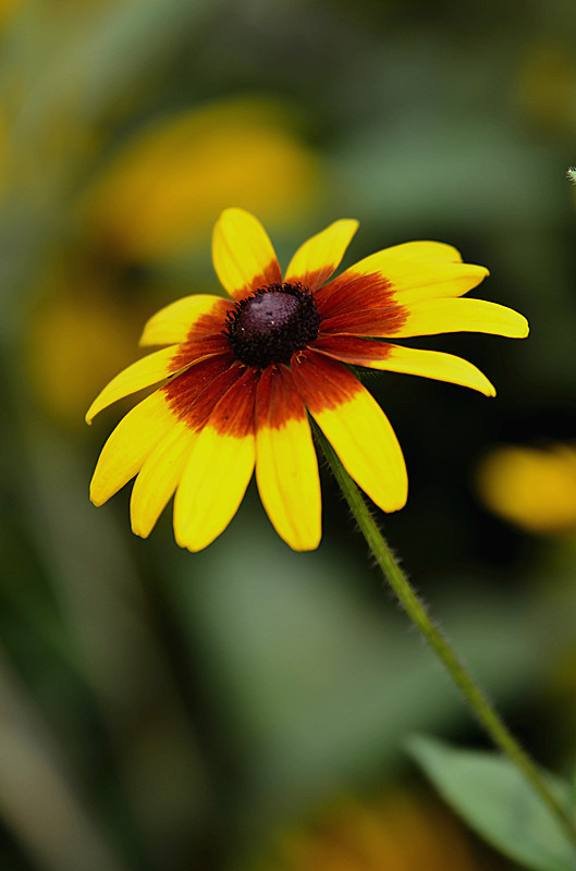 照片 074_副本.jpg