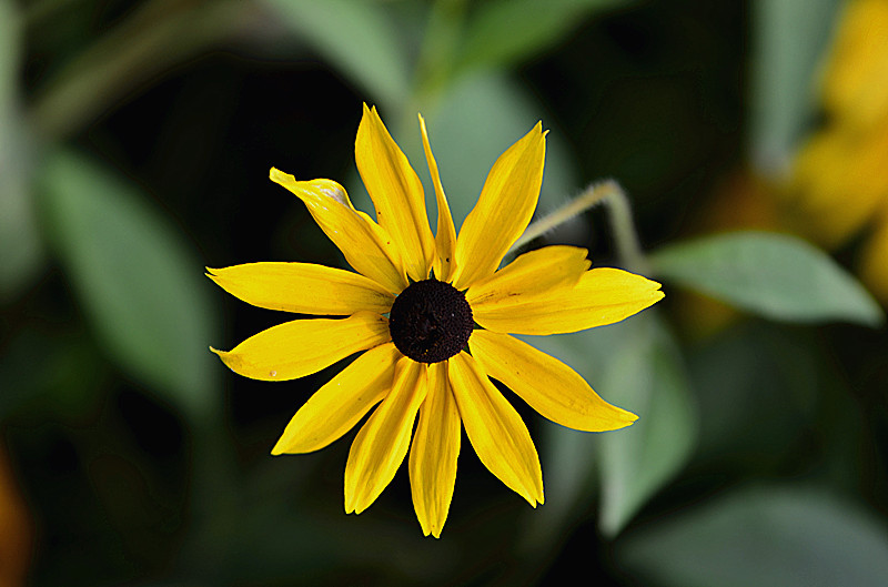 照片 076_副本.jpg