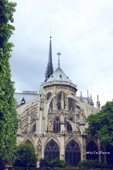 圣母院的后面.jpg