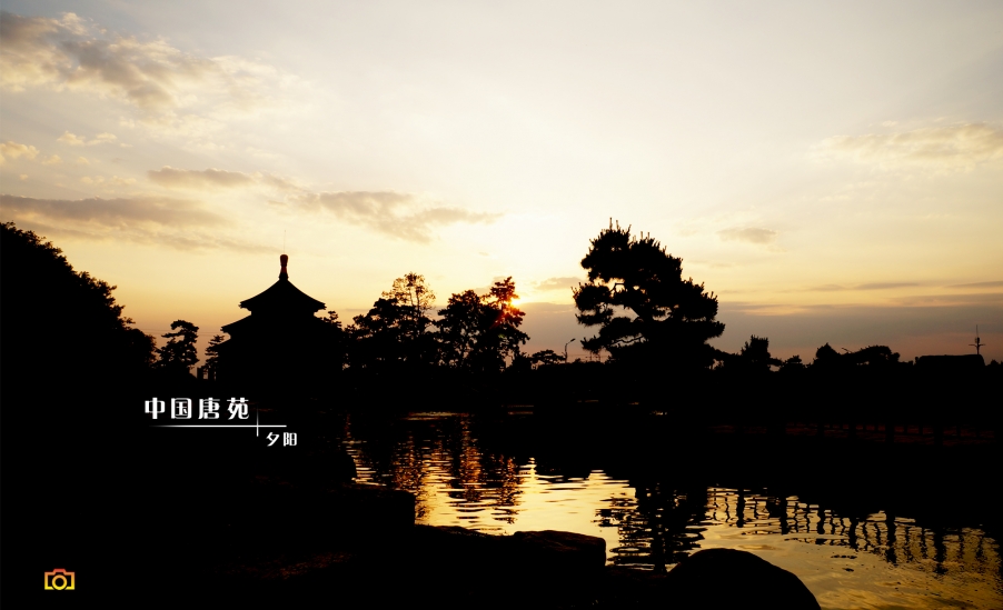 唐苑光影09.jpg