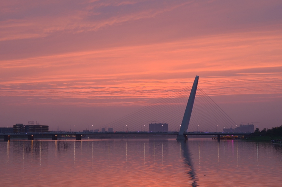 DSC_4769.JPG