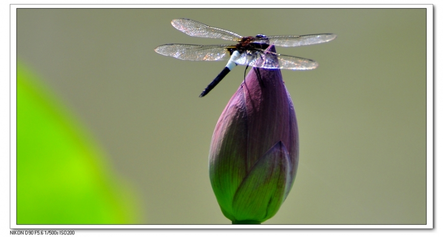 nEO_IMG_桌面照片 10161副本.jpg