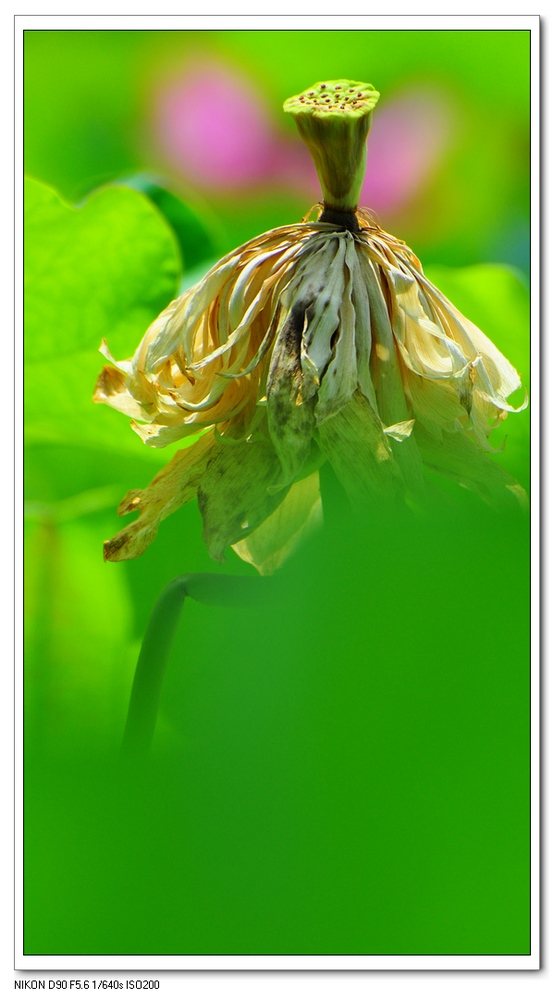 nEO_IMG_桌面照片 10167副本.jpg