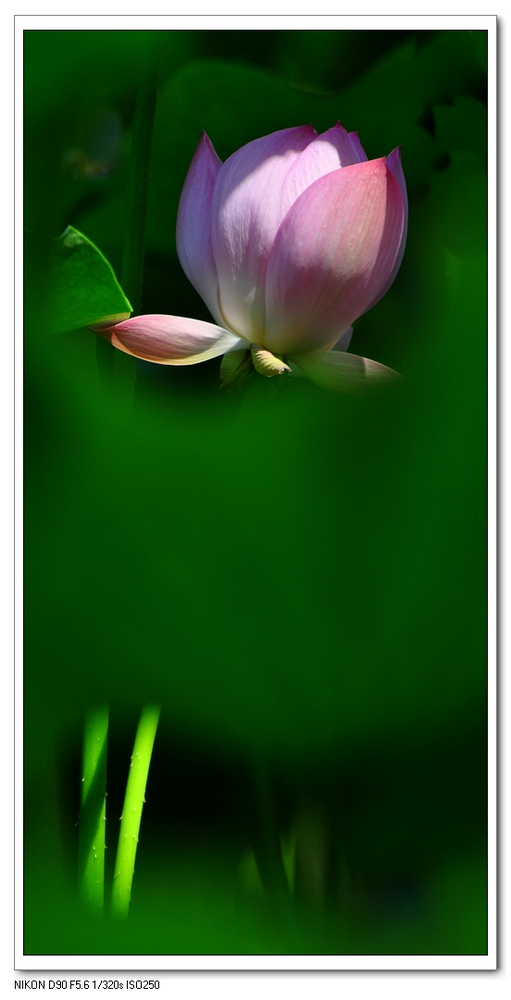 nEO_IMG_桌面照片 10179副本.jpg