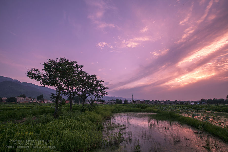 20130625_1076.jpg