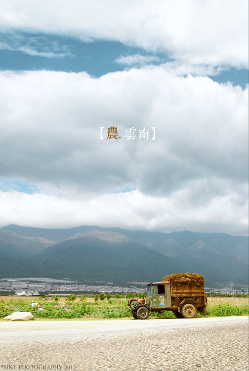 云南春天5.jpg