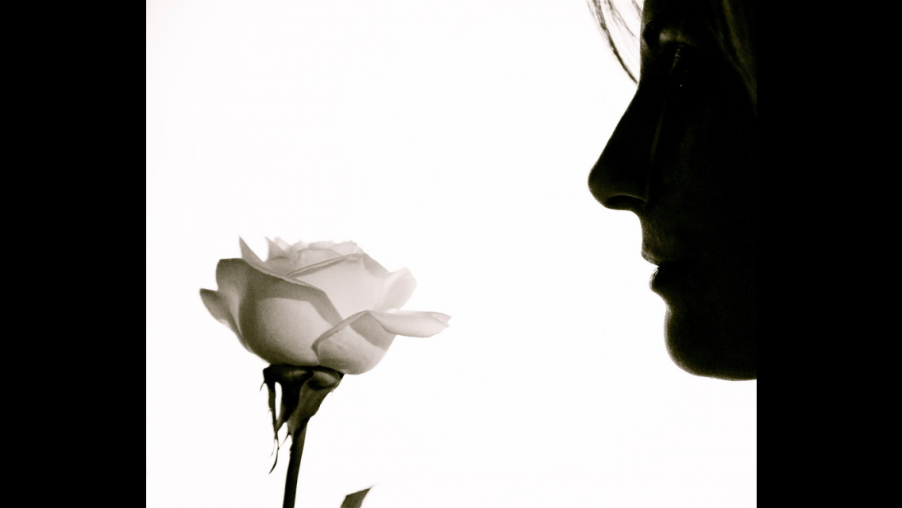 IMG_0110.PNG