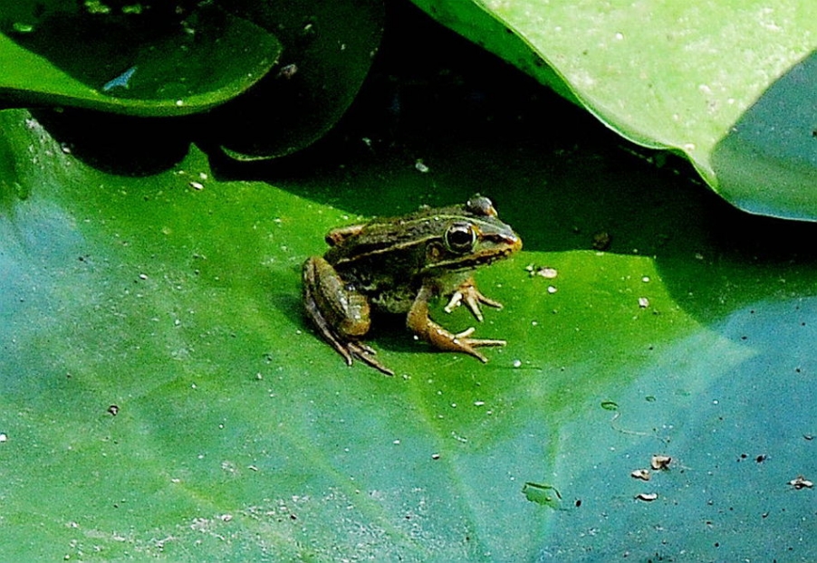 DSC_0283.jpg