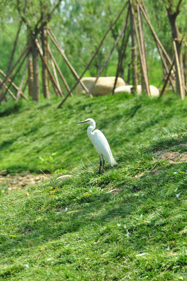 DSC_0293.JPG