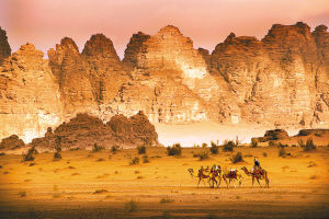 《驼影奇峰》 柏雨果 摄.jpg
