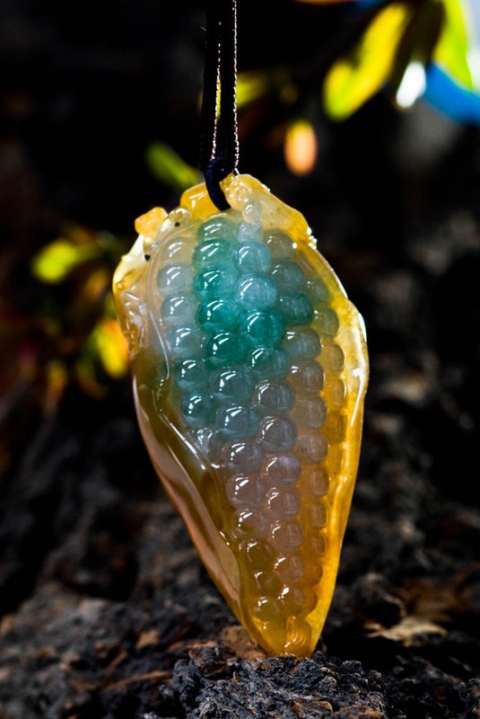 9096270_0800[1].jpg